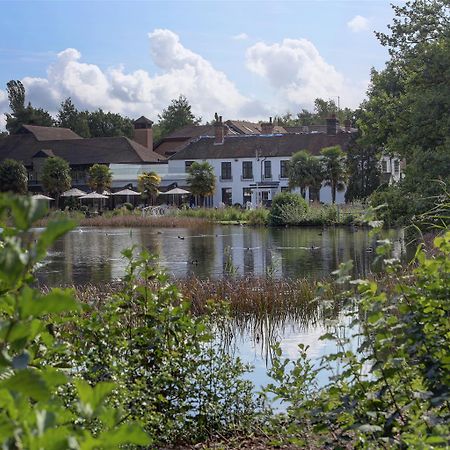 Frensham Pond Country House Hotel & Spa فارنهام المظهر الخارجي الصورة