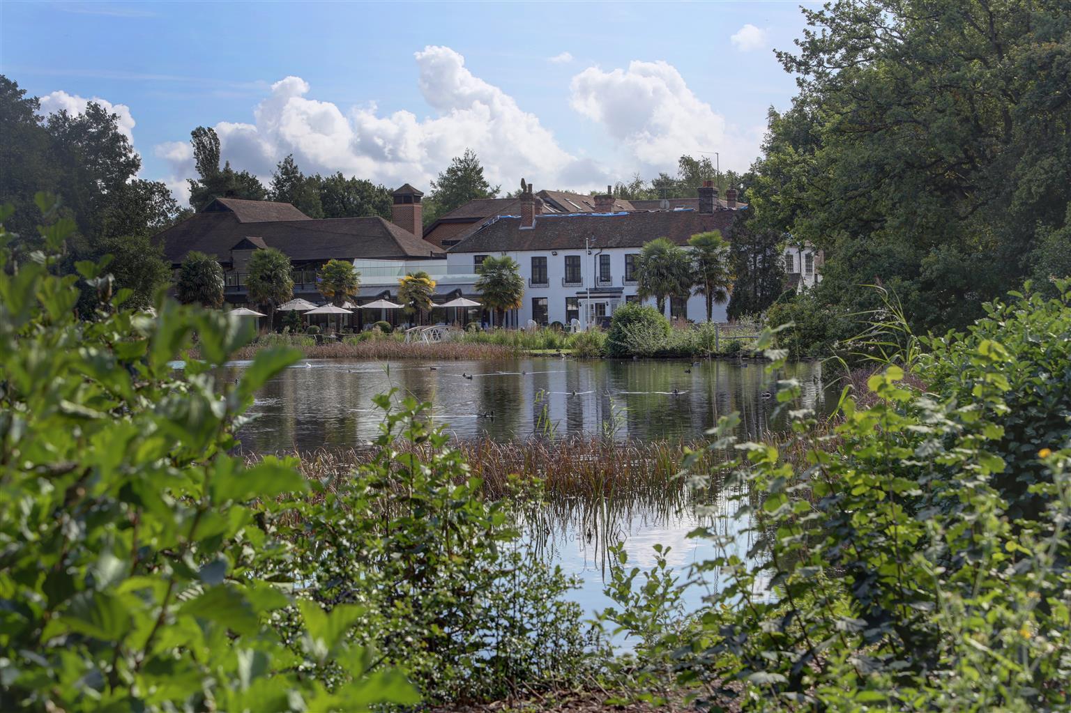 Frensham Pond Country House Hotel & Spa فارنهام المظهر الخارجي الصورة